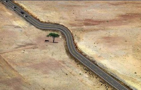  Top  Sa luam exemplu! Situatii in care omul a respectat natura