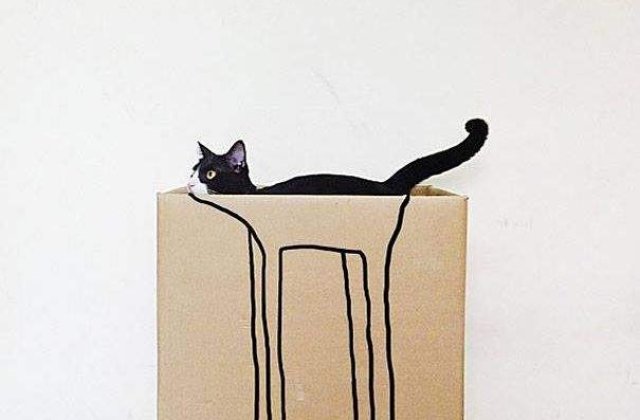 Le gasesti? 10 pisici camuflate PERFECT sub ochii stapanului