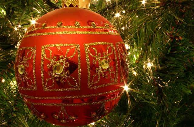 Romanii isi schimba mentalitatea! Moda care opreste genocidul de Craciun asupra naturii