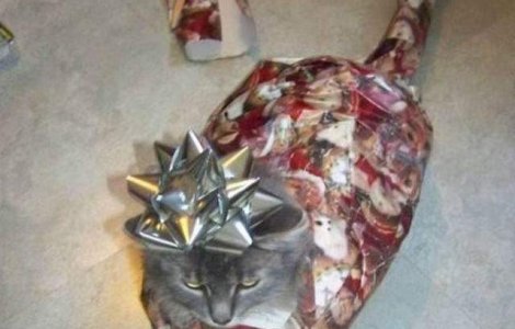  Top  Si tu faci asta? Cum NU TREBUIE sa impachetezi cadourile