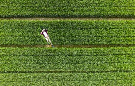  Top  La inaltime: 9 imagini capturate de drone care te vor lasa fara cuvinte