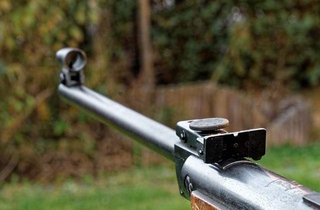 Dosar penal in urma unei plangeri legate de vanatoarea de la Balc