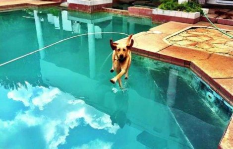  Top  Trucate sau nu? Poze perfect sincronizate ce nu par reale