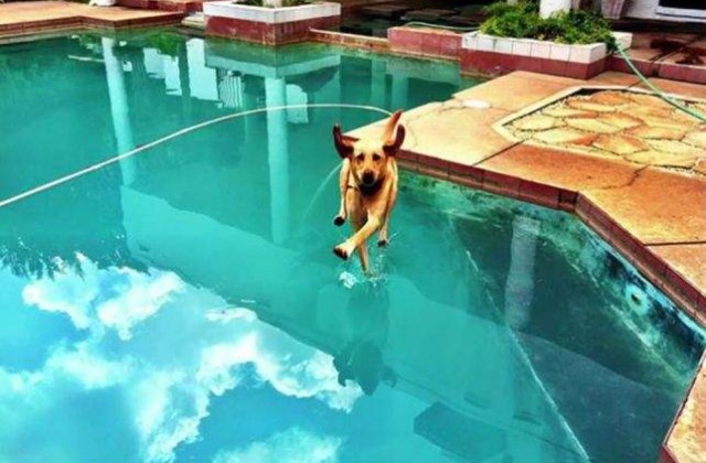 Trucate sau nu? Poze perfect sincronizate ce nu par reale