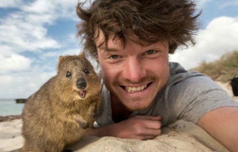  Top  Selfie si bestia: Barbatul care isi face selfie-uri cu animale