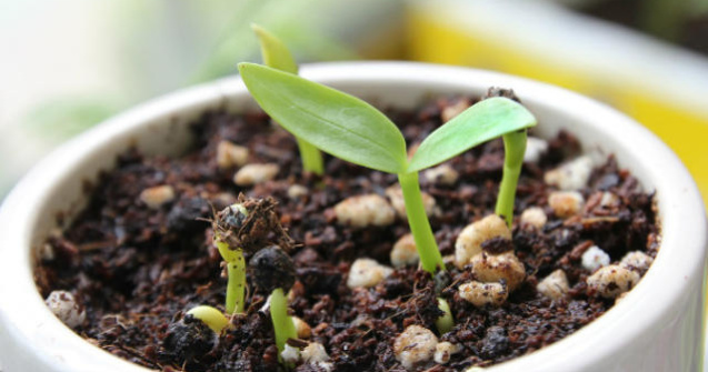 4 moduri prin care brandurile se pot promova si creste in 2016