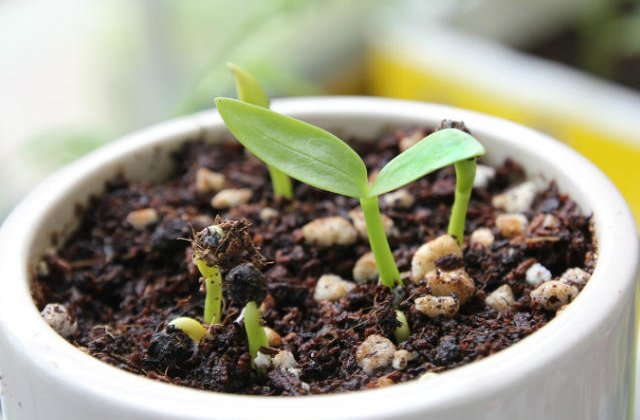 4 moduri prin care brandurile se pot promova si creste in 2016