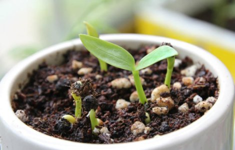 4 moduri prin care brandurile se pot promova si creste in 2016