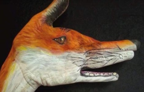  Top  Ce poti face cu ajutorul mainilor. Imagini cum sigur nu ai mai vazut