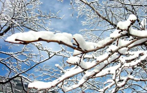 Atentionarea cod galben de ninsori pentru sudul tarii ar putea fi prelungita