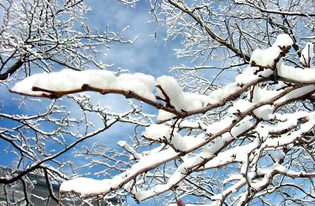 Atentionarea cod galben de ninsori pentru sudul tarii ar putea fi prelungita