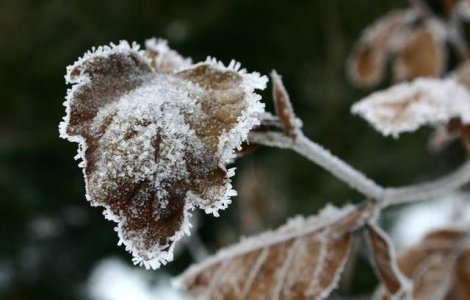 Recomandarile medicilor pentru zilele geroase