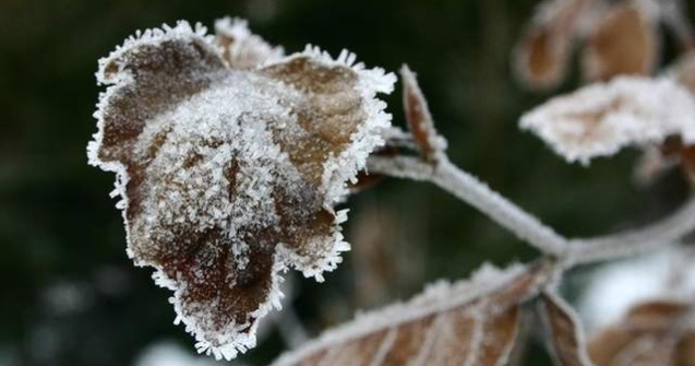 Recomandarile medicilor pentru zilele geroase