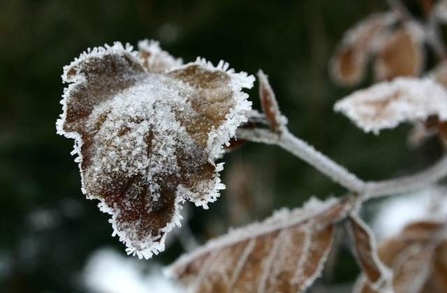 Recomandarile medicilor pentru zilele geroase