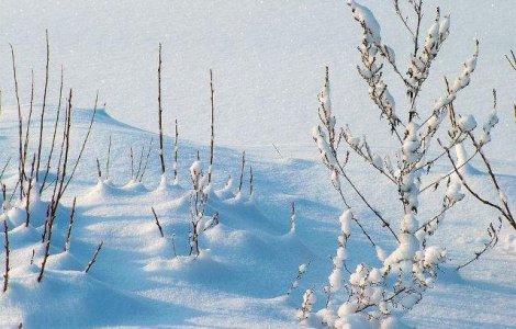 Informare meteo: Ninsori abundente, in urmatoarele ore