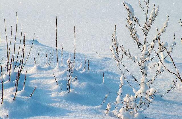 Informare meteo: Ninsori abundente, in urmatoarele ore