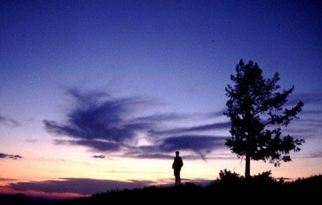  Top  10+1 Fapte incredibile pe care nu le stii despre viata