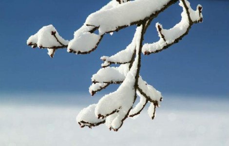 Precipitatii mixte si polei in toata tara