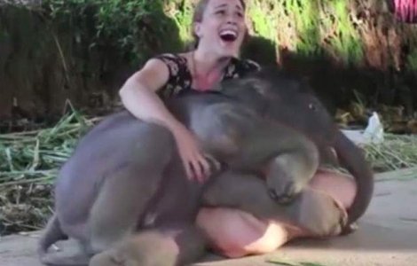 Cel mai dragut clip! Uite cum se alinta acest pui de elefant