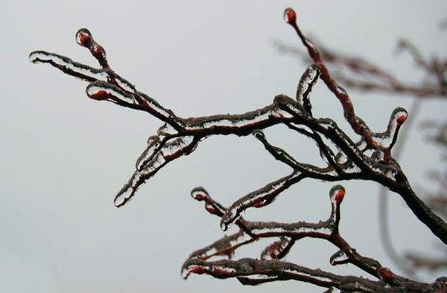 Atentionare COD GALBEN de precipitatii mixte si polei in Bucuresti si alte opt judete