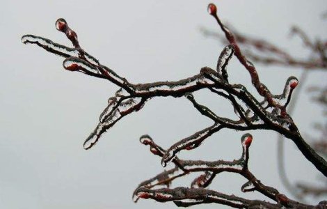 COD GALBEN de precipitatii mixte si polei in Bucuresti si 8 judete