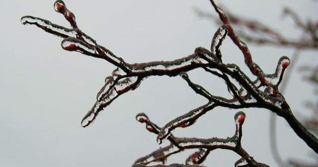 Atentionare COD GALBEN de precipitatii mixte si polei in Bucuresti si alte opt judete