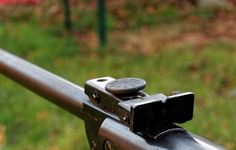 Primar din judetul Olt, impuscat mortal la vanatoare