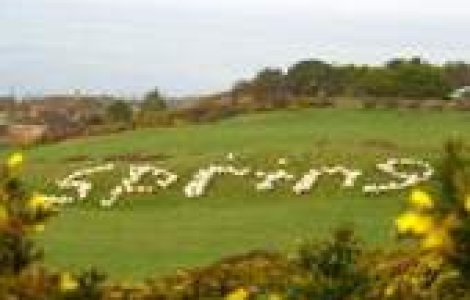 Cainii care au invatat oile sa scrie