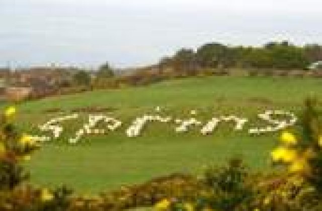 Cainii care au invatat oile sa scrie