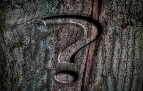  Top  Le poti recunoaste? 15 Celebritati inainte de a fi faimoase