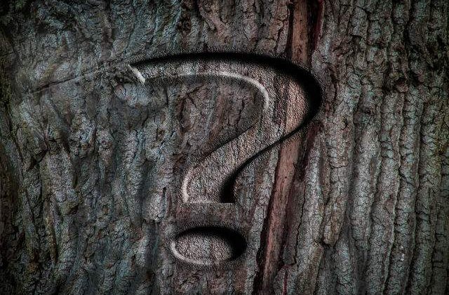 Le poti recunoaste? 15 Celebritati inainte de a fi faimoase