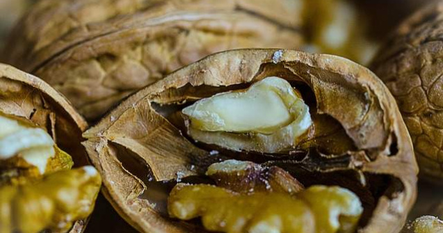 Timis: Barbat retinut pentru furtul a doua tone de miez de nuca