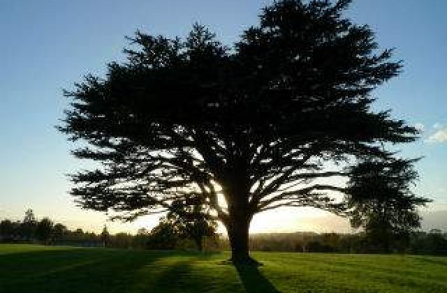 Prioritati MMAP: Administrarea ariilor protejate, reducerea impactului schimbarilor climatice