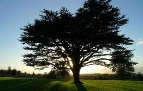 Prioritati MMAP: Administrarea ariilor protejate, reducerea impactului schimbarilor climatice