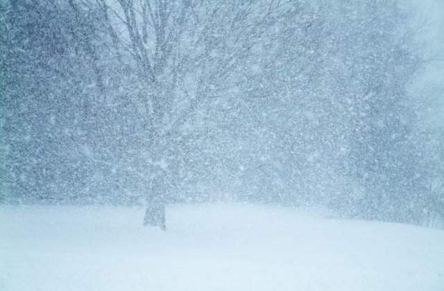 Avertizari meteo de viscol si ninsori, in urmatoarele ore