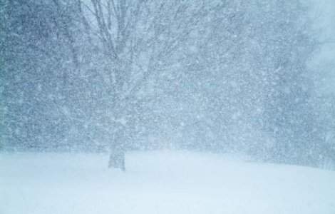 Avertizari meteo de viscol si ninsori, in urmatoarele ore