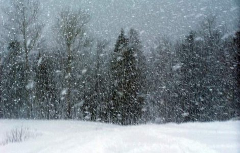 Europa de Est, afectata de furtuni de zapada si rafale violente de vant