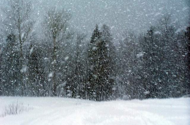 Europa de Est, afectata de furtuni de zapada si rafale violente de vant