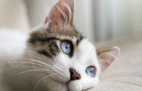 Lunea Albastra: Astazi este cea mai deprimanta zi din an