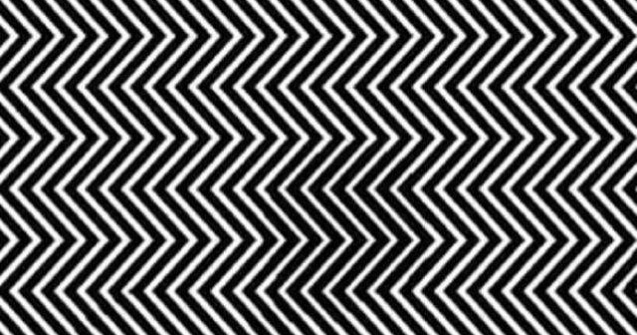 Iluzie optica fascinanta: Poti vedea animalul ascuns in imagine?