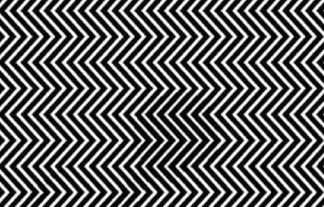  Foto  Iluzie optica fascinanta: Poti vedea animalul ascuns in aceasta imagine?