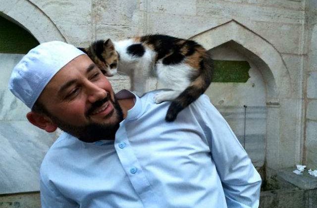 [FOTO] Un Iman din Istanbul a deschis portile moscheii pentru pisicile abandonate