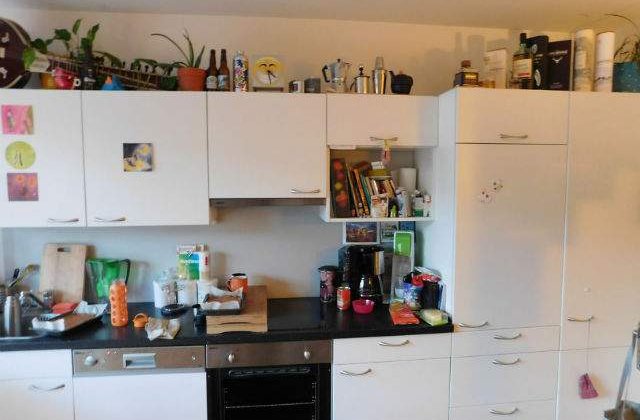 [FOTO] Pariu ca nu vei gasi pisica ascunsa in aceasta imagine