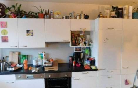 Pariu ca nu vei gasi pisica ascunsa in aceasta imagine