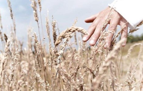  Top  Atentie la detalii! Ce spun mainile despre sanatatea ta