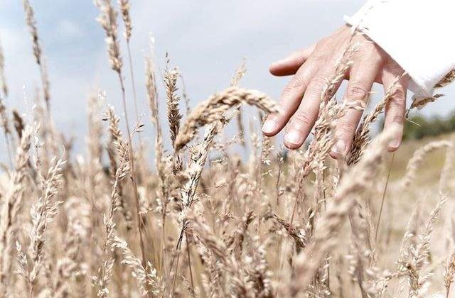 Atentie la detalii! Ce spun mainile despre sanatatea ta