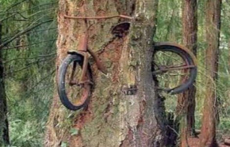  Top  Poti crede ca sunt reale? Poze incredibile ce par trucate