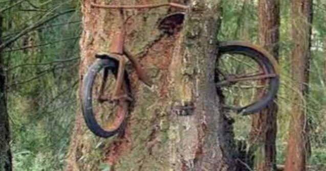  Top  Poti crede ca sunt reale? Poze incredibile ce par trucate