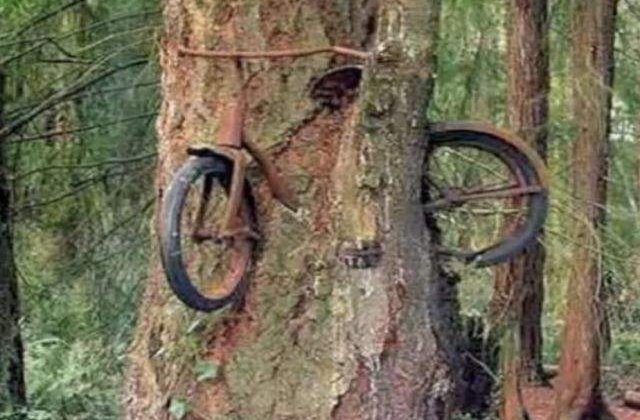 Poti crede ca sunt reale? Poze incredibile ce par trucate