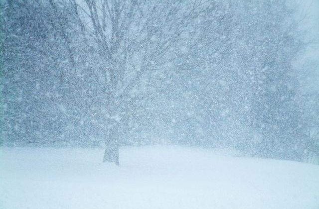 SUA: Cel putin 29 de morti si mii de zboruri anulate din cauza viscolului puternic